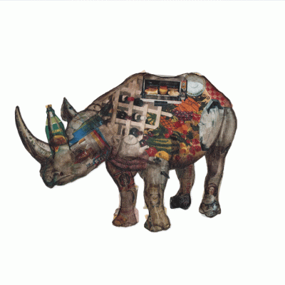 collage of black rhinoceros 