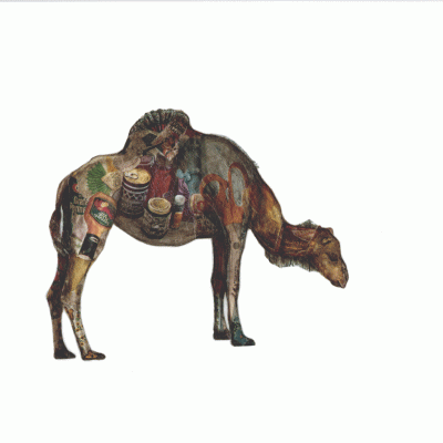 collage of camel