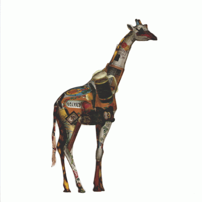 collage of giraffe