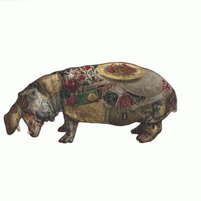 collage of Hippopotamus 