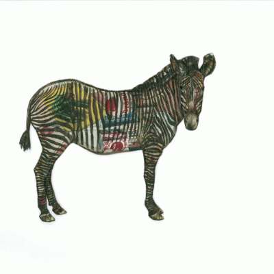 collage of zebra